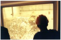 pictures/1998/1998-04-03-begunstigersdag-afvalverbranding